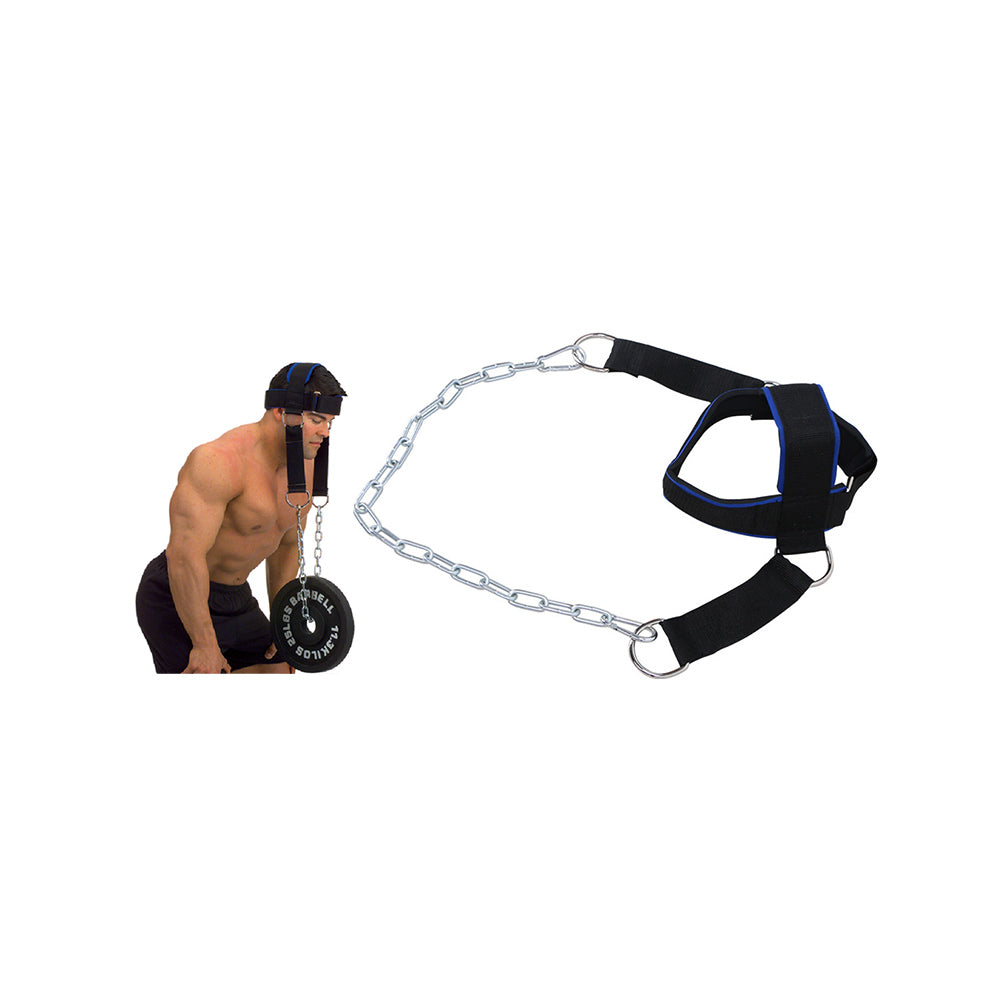 Head Harness