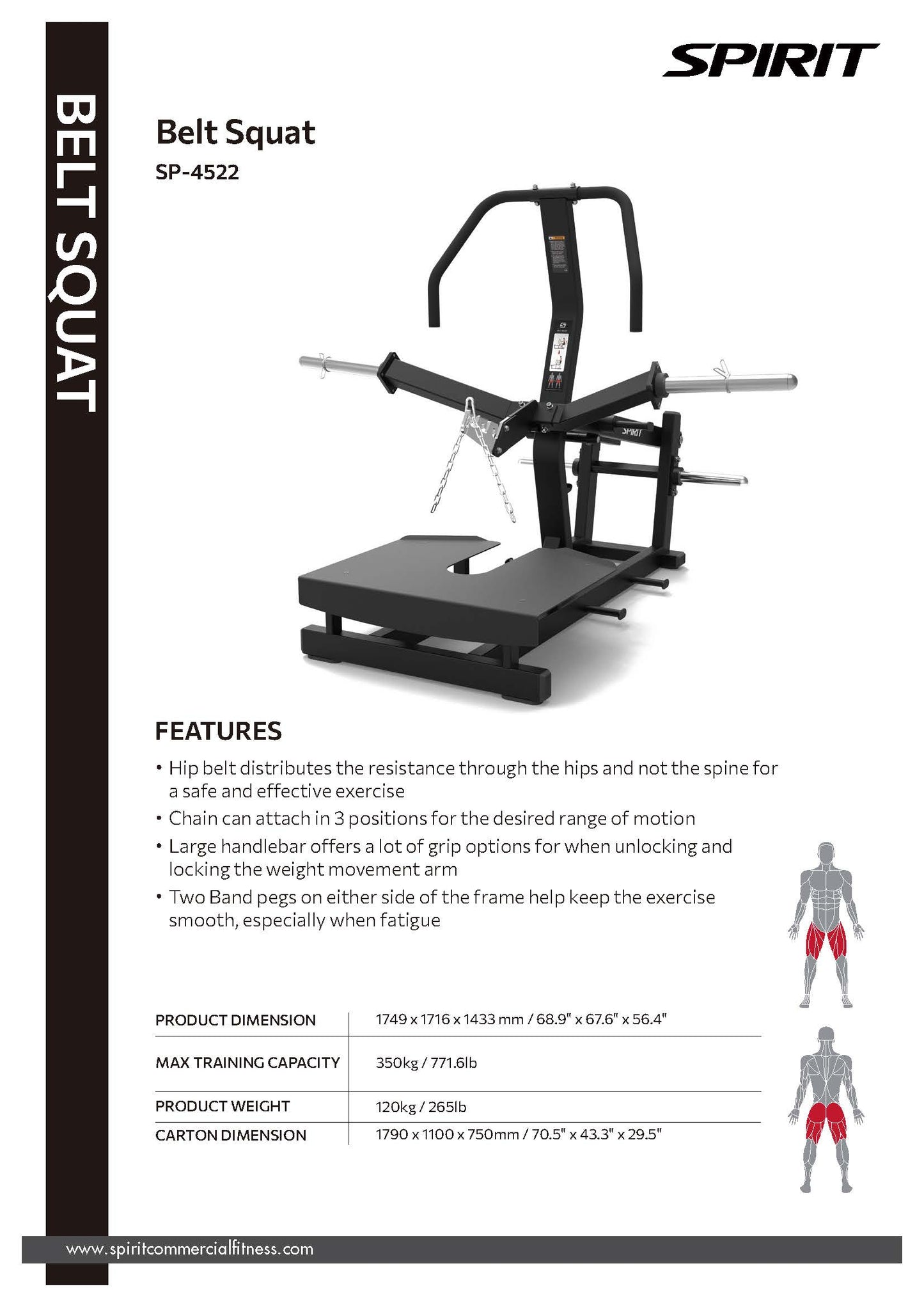 Plate Loaded Series Spirit