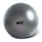 Aerobics UFC Gymball - Yemeco SARL