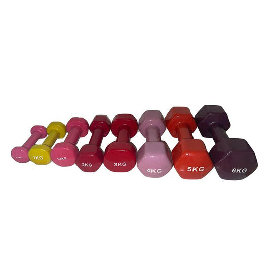 Vinyl Dumbbells by Pair - Yemeco SARL